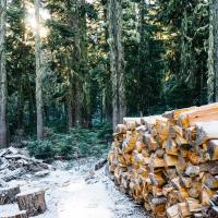 Mjera 8 TO 8.6.1. Bespovratna sredstva za pridobivanje drva i šumskouzgojne radove